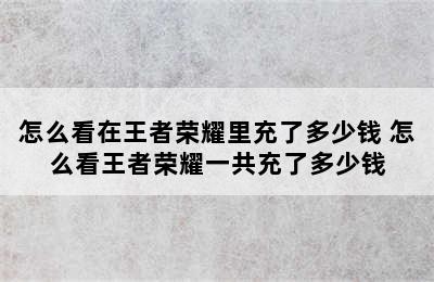 怎么看在王者荣耀里充了多少钱 怎么看王者荣耀一共充了多少钱